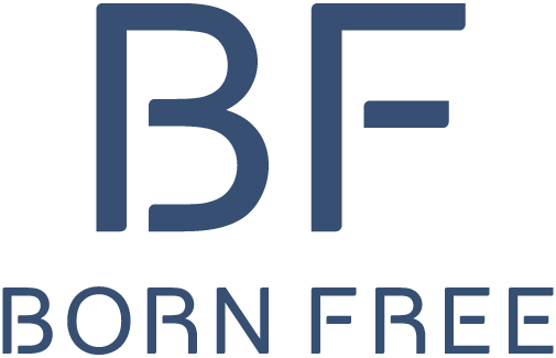 Born Free Originals ボーンフリーオリジナル ボーダーリンガーロンt Born Free Online Shop