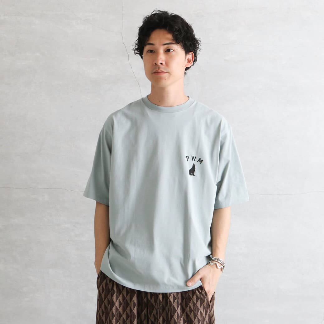 PENDLETON ペンドルトン バックプリント・プレーティング天竺Tシャツ